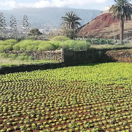 Tapias, Casa Mane Nyaraló Puerto de la Cruz