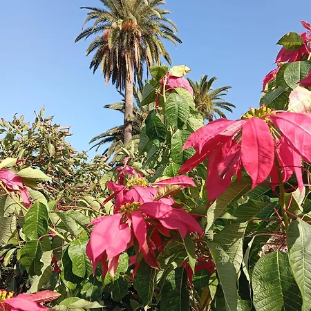 بيت للعطل Tapias, Casa Mane